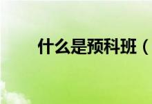 什么是預(yù)科班（需要哪些報考條件）
