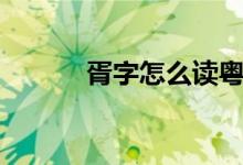 胥字怎么讀粵語(yǔ)(胥字怎么讀)