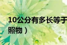 10公分有多長等于一米嗎（10公分有多長參照物）