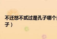 不遷怒不貳過是孔子哪個弟子（不遷怒不貳過是孔子哪位弟子）
