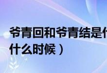 爺青回和爺青結(jié)是什么意思（爺青結(jié)一般用在什么時候）