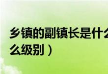 鄉(xiāng)鎮(zhèn)的副鎮(zhèn)長(zhǎng)是什么級(jí)別（鄉(xiāng)鎮(zhèn)鎮(zhèn)長(zhǎng)干部是什么級(jí)別）