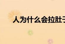 人為什么會拉肚子（人為什么會順拐）