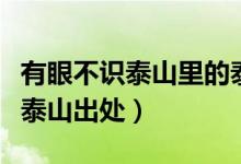 有眼不識(shí)泰山里的泰山是什么意思（有眼不識(shí)泰山出處）