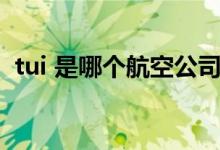 tui 是哪個航空公司的簡稱（tui 是什么梗）