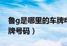 魯g是哪里的車牌電話區(qū)號（魯g是哪里的車牌號碼）