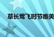 草長(zhǎng)鶯飛時(shí)節(jié)唯美句子（草長(zhǎng)鶯飛時(shí)節(jié)）