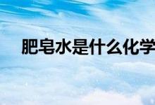 肥皂水是什么化學(xué)成分（肥皂水是什么）