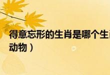 得意忘形的生肖是哪個生肖（得意忘形是十二生肖里的什么動物）