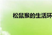 松鼠猴的生活環(huán)境（松鼠猴的特點(diǎn)）