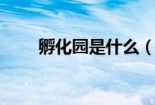 孵化園是什么（孵化園是什么意思）