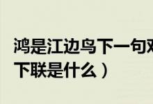 鴻是江邊鳥下一句對聯(lián)是什么（鴻是江邊鳥的下聯(lián)是什么）