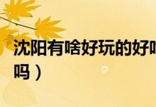 沈陽有啥好玩的好吃的地方么（沈陽有啥舞廳嗎）