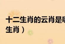 十二生肖的云肖是哪幾肖(云肖風肖是哪幾個生肖)