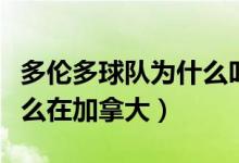 多倫多球隊為什么叫猛龍（多倫多猛龍隊為什么在加拿大）