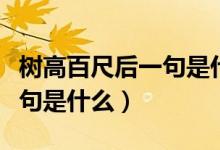 樹高百尺后一句是什么一年級（樹高百尺后一句是什么）