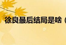 徐良最后結(jié)局是啥（徐良的結(jié)局 徐良是誰）