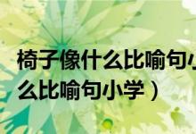 椅子像什么比喻句小學(xué)二年級上冊（椅子像什么比喻句小學(xué)）