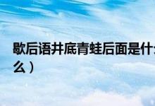 歇后語井底青蛙后面是什么（井底青蛙歇后語的下一句是什么）