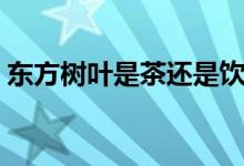 東方樹葉是茶還是飲料（東方樹葉是否健康）