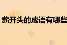 薪開(kāi)頭的成語(yǔ)有哪些（薪開(kāi)頭的成語(yǔ)有哪些）