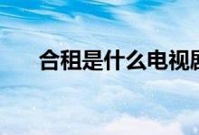 合租是什么電視?。ê献馐鞘裁匆馑迹?class=
