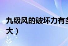 九級風(fēng)的破壞力有多強（九級風(fēng)的破壞力有多大）