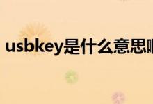 usbkey是什么意思?。╱sbkey是什么意思）