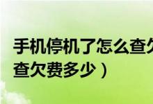 手機停機了怎么查欠費金額（手機停機了怎么查欠費多少）