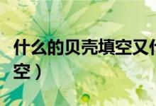 什么的貝殼填空又什么又什么（什么的貝殼填空）