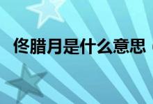 佟臘月是什么意思（佟臘月是什么電視?。?class=