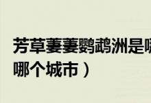 芳草萋萋鸚鵡洲是哪句詩（芳草萋萋鸚鵡洲是哪個城市）
