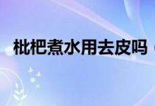 枇杷煮水用去皮嗎（煮枇杷水去皮去核嗎）