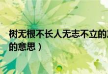 樹無根不長人無志不立的意思視頻（樹無根不長人無志不立的意思）