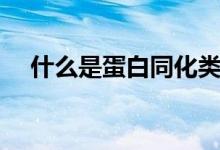 什么是蛋白同化類(lèi)制劑（什么是蛋白蟲(chóng)）