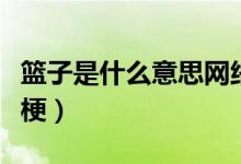 籃子是什么意思網(wǎng)絡(luò)用語（籃子什么意思什么梗）