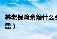養(yǎng)老保險余額什么意思（養(yǎng)老保險余額什么意思）