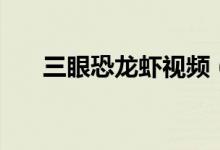 三眼恐龍蝦視頻（三眼恐龍蝦的特點）