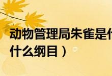 動物管理局朱雀是什么人（動物管理局朱雀是什么綱目）