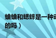 蛐蛐和蟋蟀是一種動物嗎（蛐蛐和蟋蟀是一樣的嗎）