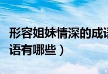 形容姐妹情深的成語句子（形容姐妹情深的成語有哪些）