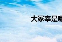 大冢宰是哪個朝代的官職
