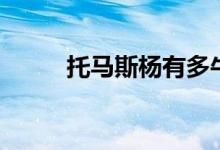 托馬斯楊有多牛（托馬斯楊是誰）