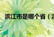 濱江市是哪個省（濱江市是哪個省的城市）