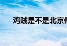 雞賊是不是北京俚語(雞賊是啥意思)