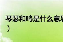 琴瑟和鳴是什么意思?。ㄇ偕网Q是什么意思）
