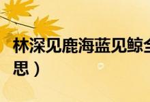 林深見鹿海藍見鯨全句（林深見鹿海藍見鯨意思）