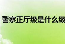 警察正廳級是什么級別（正廳級是什么級別）
