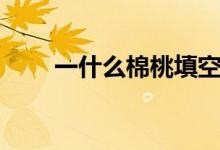 一什么棉桃填空詞語(yǔ)（一什么棉桃）