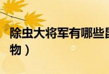 除蟲大將軍有哪些昆蟲（除蟲大將軍有哪些動物）